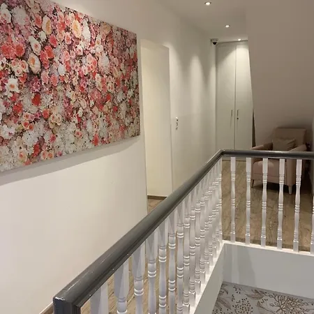 Отель Boutique Rose
